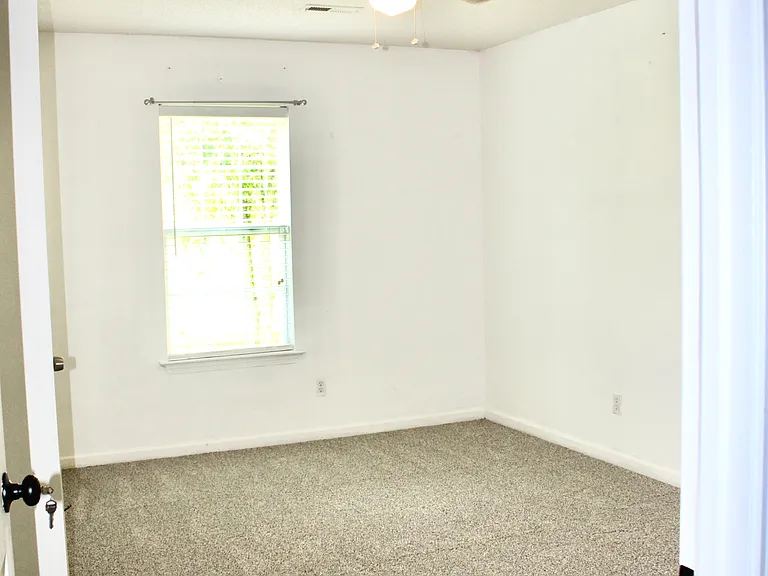 100 Tyger Meadow Rd — Photo 5