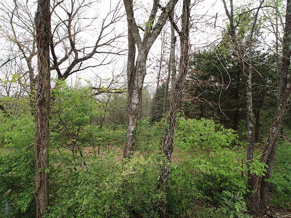 5th image of 2542 Folkner Rd