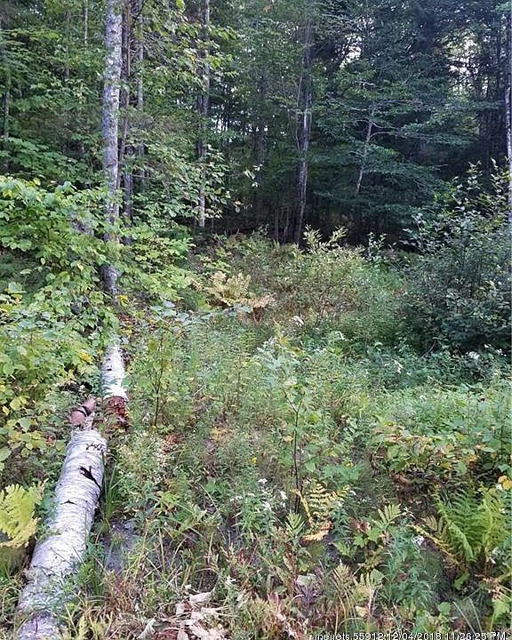 2nd image of 0 Bald Mountain Rd