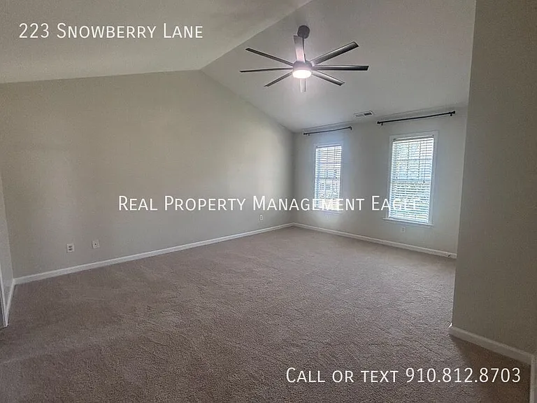 223 Snowberry Ln — Photo 12