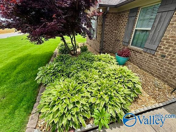 2nd image of 28436 Hinton Ln