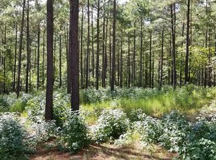 0 Lighthouse Pointe, Lincolnton, GA 30817