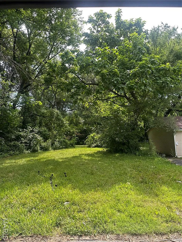 10132 Earl Dr photo 1