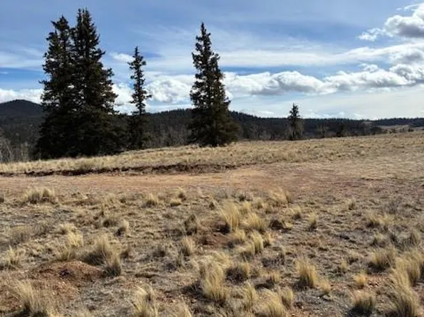 828 Gitche Goone Ln, Como, CO 80432