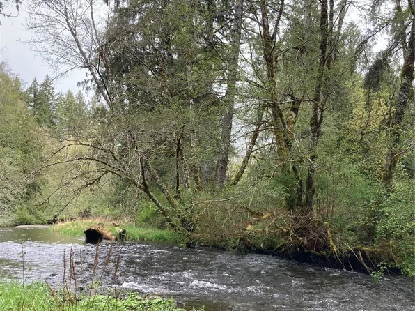 0 East of Bingham Creek, Elma, WA 98541