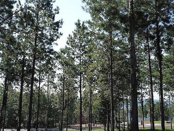 4th image of Jasper Highlands Blvd