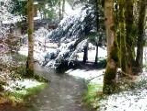 Creek in the winter snow
