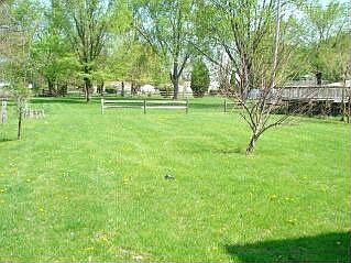 Backyard 0.22 acres