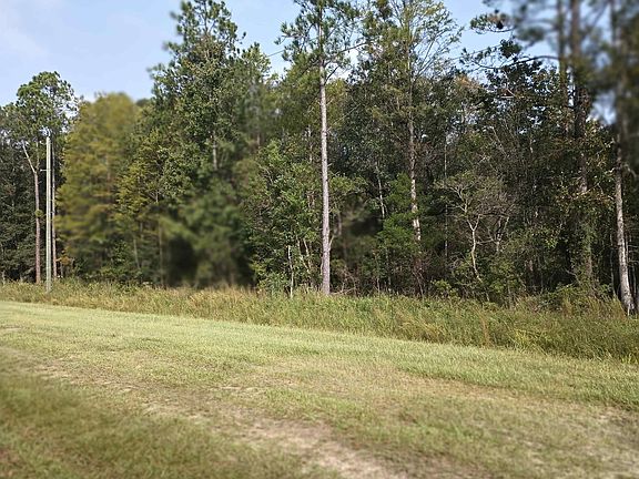 3rd image of 4560 Palatka Blvd