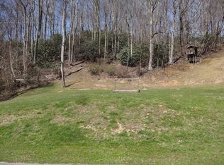 115 Paul Blevins Rd, Roan Mountain, TN 37687