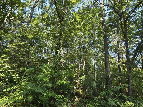 34 County Road 249, Leesburg, AL 35983