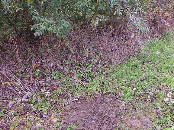 3rd image of 0 County Road 1250 E