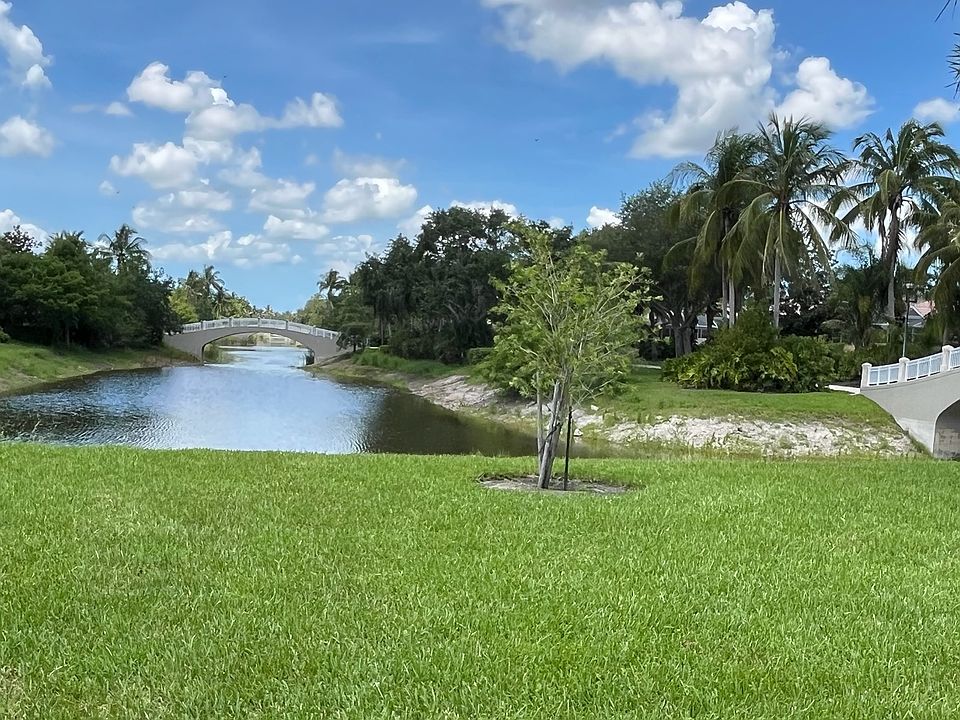 Back Yard View
