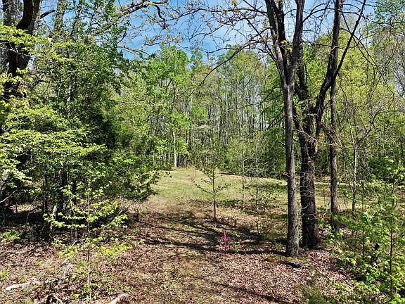 2nd image of 0 Ponder Rd
