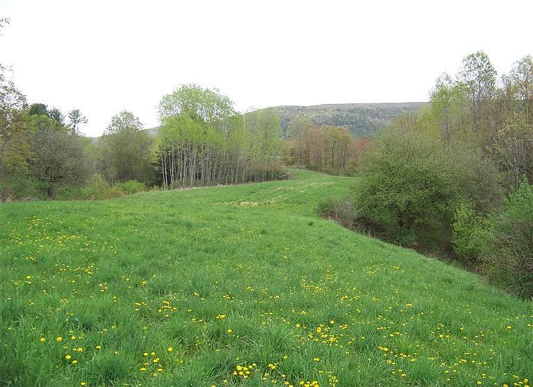 1st image of 122 Cherry Valley Creek Ln