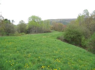 122 Cherry Valley Creek Ln, Cooperstown, NY 13326