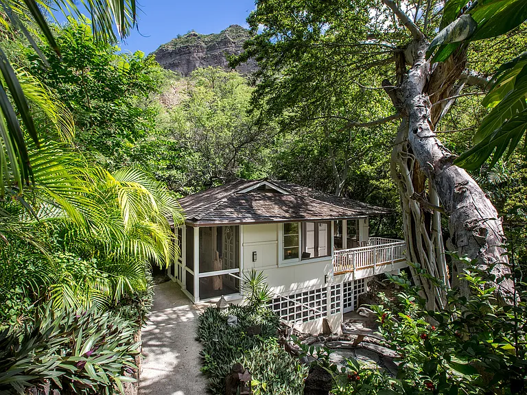 Steps down to the base of Diamond Head, house is surrounded by lush greenery and no neighboring around.