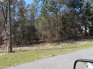 3349 N Tyrone Ave, Hernando, FL 34442