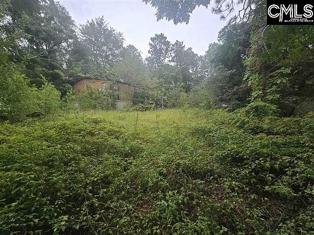 2nd image of 807A Laurel Rd
