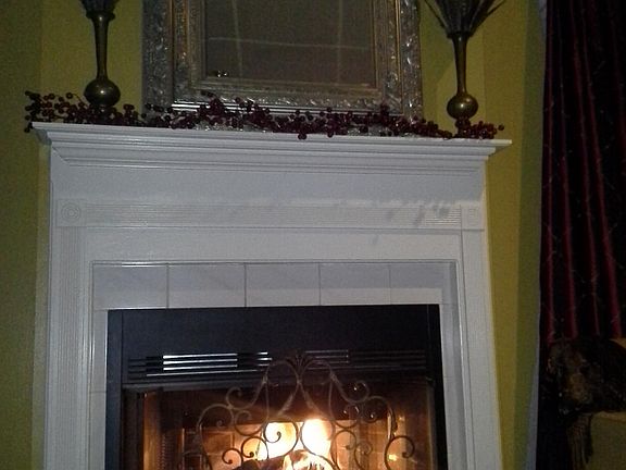 Wood burning fireplace