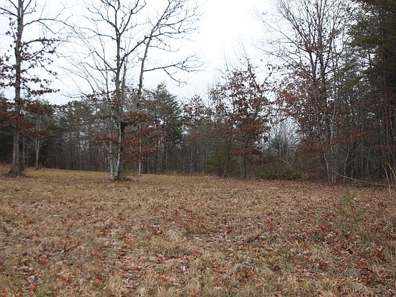3rd image of 976 Deerwood Drive Off Dr Lot 2