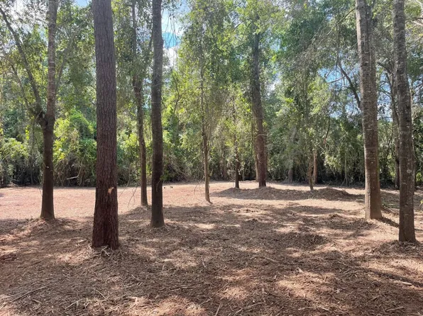 0 County Road 4520, Warren, TX 77664