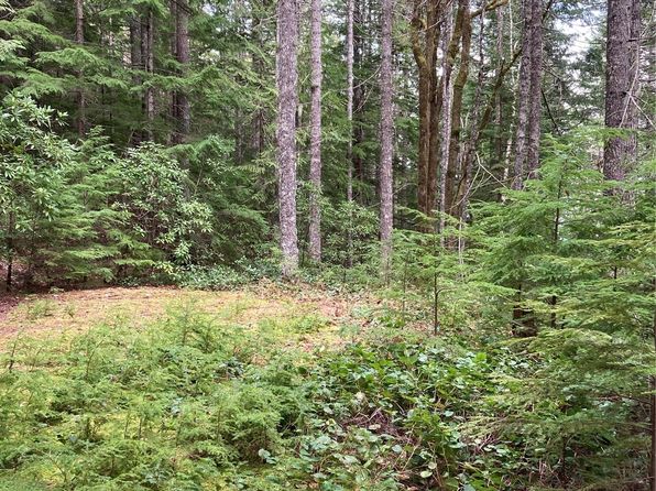 1350 N Hilltop Loop Road, Hoodsport, WA 98548