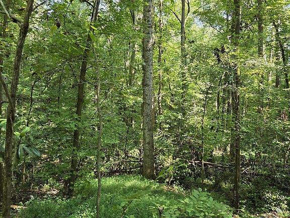 3rd image of 1898 Wood Valley Rd