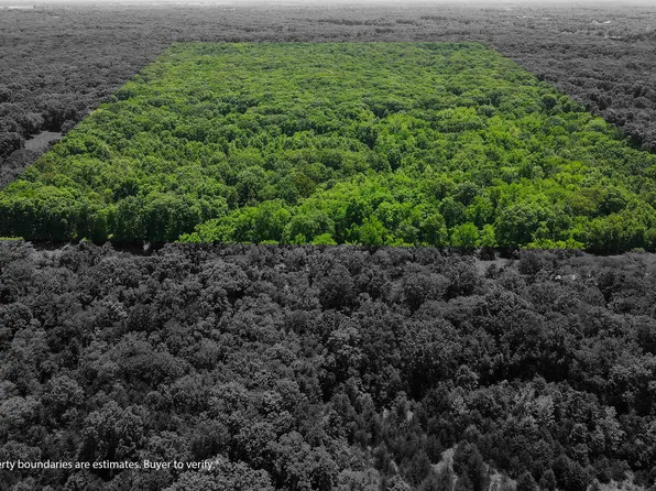 N Phillipe Rd, Hallsville, MO 65255