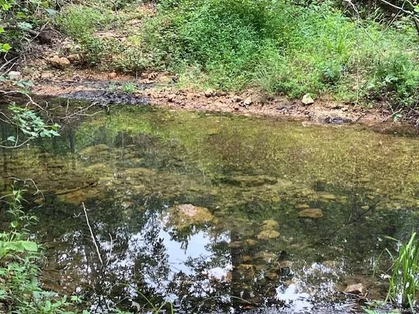 160 Madison St #410, Fredericktown, MO 63645