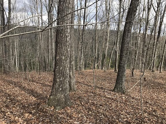 3rd image of 550 Wilderness Way #550