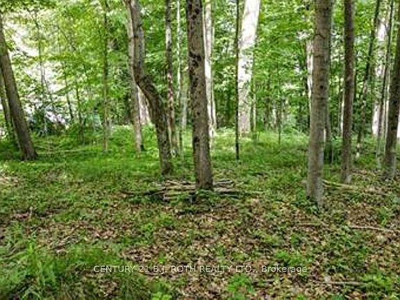 3rd image of 7 Fern Ln