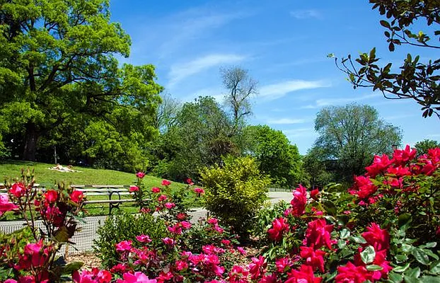 Rented by Owner | media 26