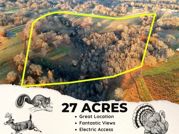 Tract 2 Dogwood Tree Road, Reeds Spring, MO 65737