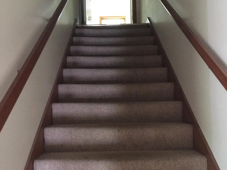 203 Palm St — Photo 15