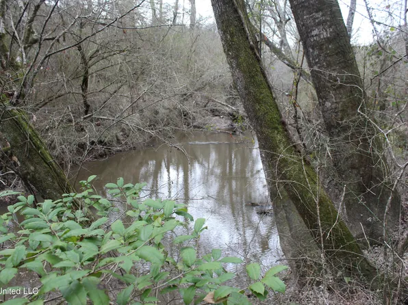 Big Creek Dr SW, Bogue Chitto, MS 39629