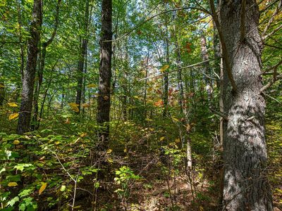 E Boundary Trl #8, Lac Du Flambeau, WI, 54538