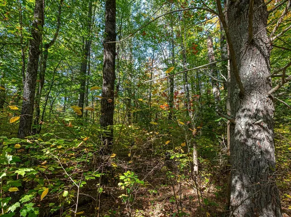 E Boundary Trl #8, Lac Du Flambeau, WI 54538
