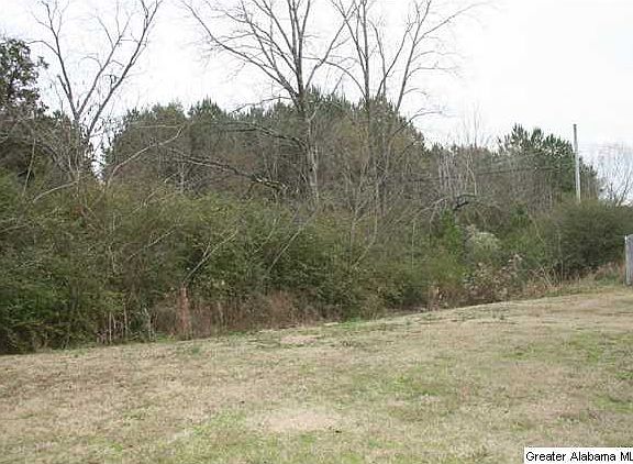 4th image of 10922 Griffin Dr