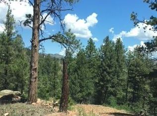 103 Bear Lake Cir, Divide, CO 80814