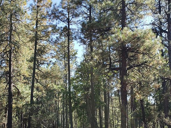 5th image of 155 E NAIL RANCH Road #-