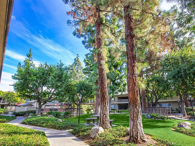 Saddleback Pines Apartment Homes — Photo 4