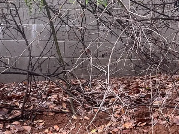 3090 Springe St #109, Nice, CA 95464