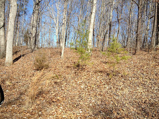 2nd image of 110 Pine Knob Cir