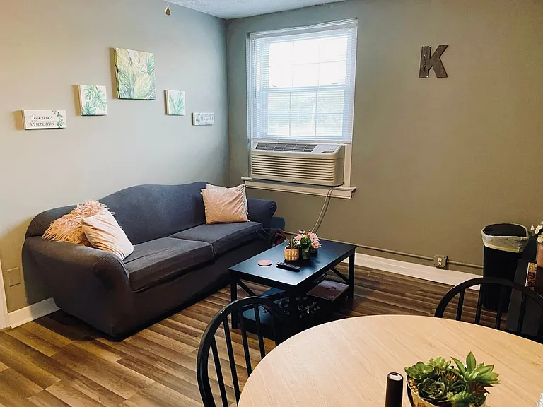 Example Living room - furniture not included in rental