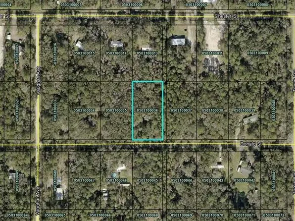 9715 Underwood Ave, Hastings, FL 32145