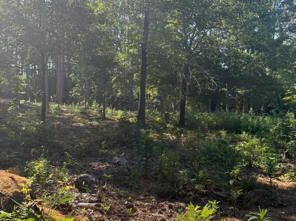 Tbd Stephanie Street, Southern Pines, NC 28387