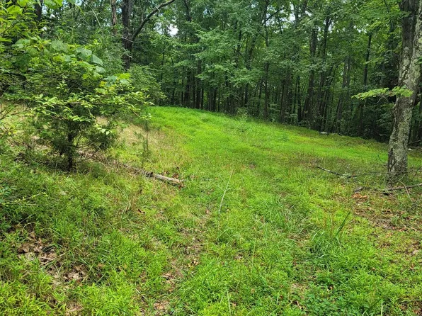 513 Linwood Dr, Delray, WV 26714