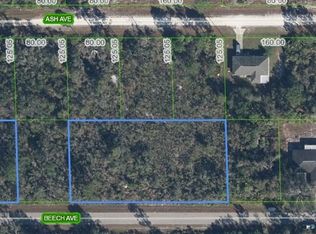 3021 Beech Ave, Lake Placid, FL 33852