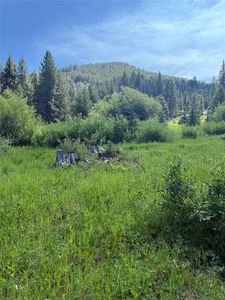 Nhn Belle Trl, Philipsburg, MT, 59858